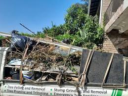 Best Moving and Downsizing Cleanouts  in Fair Oaks, CA